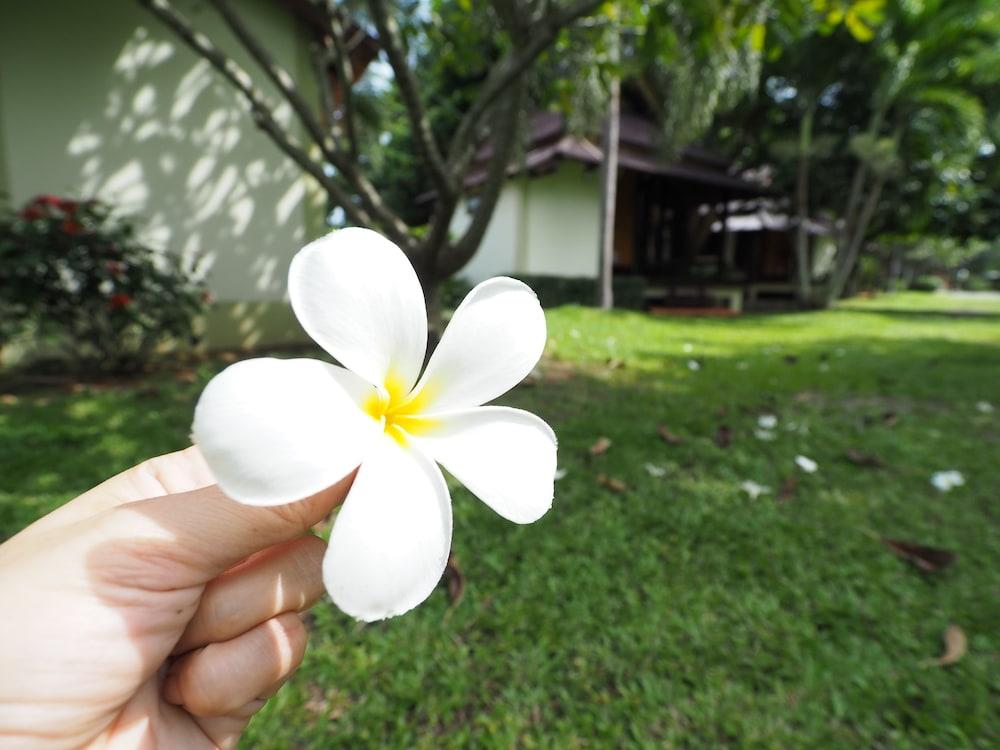 Baan Pun Sook Resort Chao Lao Beach Exterior foto